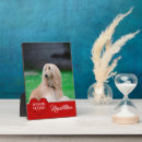 Zoek naar honden fotoplaat Elk persoon