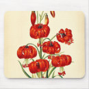 Zoek naar lily pad muismatten Illustratie