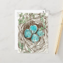 Zoek naar vogeleieren briefkaarten Elk persoon