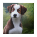 Zoek naar border collie tegels Puppy