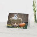 Zoek naar halloween kaarten Herfst