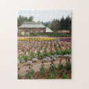 Zoek naar tulips puzzels Tulpen