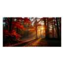 Zoek naar herfst bos posters Rood