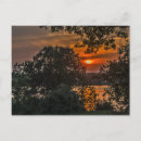 Zoek naar silhouettes briefkaarten Zonsondergang