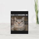 Zoek naar kat meme kaarten Kattenliefhebber