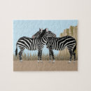 Zoek naar zebra puzzels Cartoon