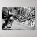 Zoek naar stieren kunst Longhorn