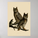 Zoek naar john james audubon posters Vintage