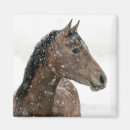 Zoek naar paard magneten Portret