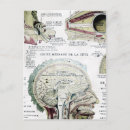 Zoek naar anatomie briefkaarten Medisch