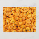 Zoek naar harvest briefkaarten Thanksgiving