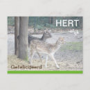Zoek naar herten humor briefkaarten Elk persoon