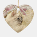 Zoek naar ragdoll ornamenten Dier