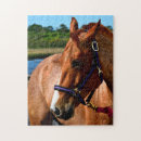 Zoek naar bruine paarden puzzels Elk persoon
