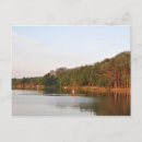 Zoek naar avond briefkaarten Natuur