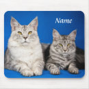 Zoek naar twee dieren muismatten Kat