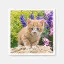 Zoek naar katten servetten Baby