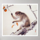 Zoek naar aap posters Dieren