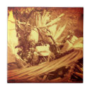 Zoek naar gekleurd tegels Voor haar