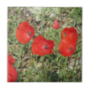 Zoek naar poppies tegels Natuur