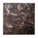 Zoek naar ruw tegels Textuur