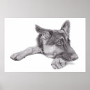 Zoek naar gsd posters Illustratie