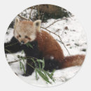 Zoek naar rode panda stickers Rood