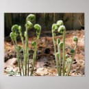 Zoek naar groen plant posters Moeder