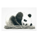 Zoek naar tekening panda kunst Wild