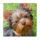 Zoek naar nieuwsgierig tegels Danita delimont