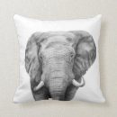 Zoek naar afrika fotografie Zwart wit