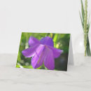 Zoek naar klokbloem kaarten Voor iedereen