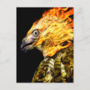 Zoek naar phoenix vogel briefkaarten Vlam