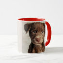 Zoek naar kelpie mokken Puppy