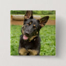 Zoek naar duitse herder buttons Schattig