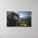 Zoek naar gorilla kunst Mensapen