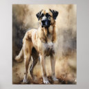 Zoek naar anatolische herder posters Voor hondenliefhebber