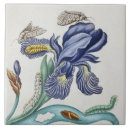 Zoek naar insect tegels Voor iedereen