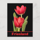 Zoek naar friesland briefkaarten Holland