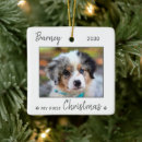 Zoek naar pet ornamenten Hondenpuppy