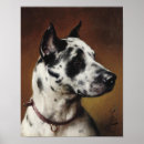 Zoek naar great dane kunst Huisdier