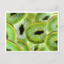 Zoek naar kiwi briefkaarten Foto