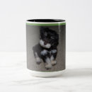 Zoek naar edele mokken Puppy