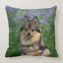 Zoek naar spitz kussens Herfst