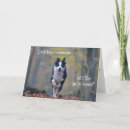 Zoek naar de van met border collie verjaardagskaarten Voor iedereen