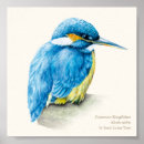 Zoek naar ornithologie posters Waterverf