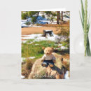 Zoek naar beer kaarten Wild