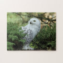 Zoek naar snowy owl puzzels Buboscandiacus
