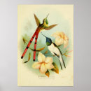 Zoek naar uil illustratie posters Veer
