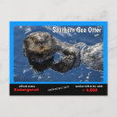 Zoek naar zee otter kaarten Marine